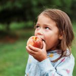 What Are Kid Friendly Meals: Fast, Nutritious & Actually Eaten